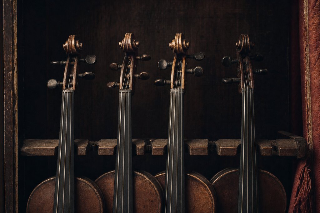 Four violins upright in a wooden rack, seen from the front.