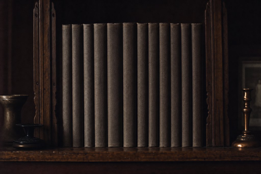 A run of uniformly bound journals on a shelf, spines toward the camera and blank.